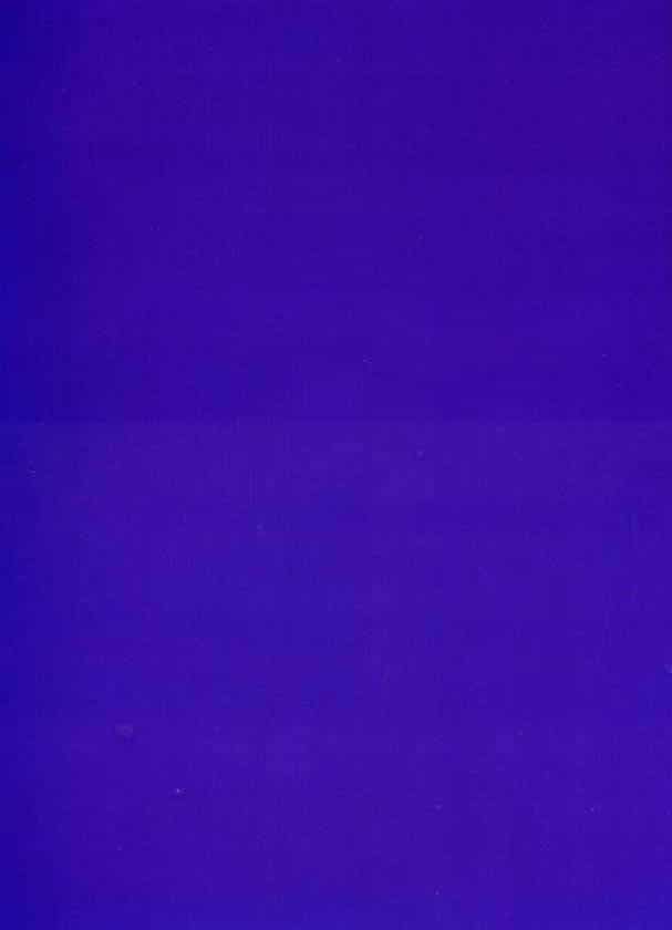 Canon van de Moderne Kunst: Yves Klein