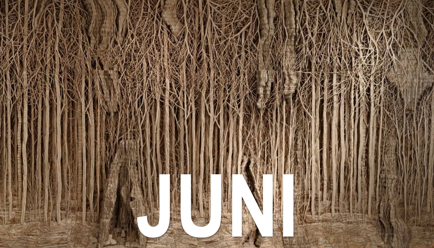 Kunstkalender Juni 2021 – Wat is er binnenkort te zien in de Nederlandse musea?