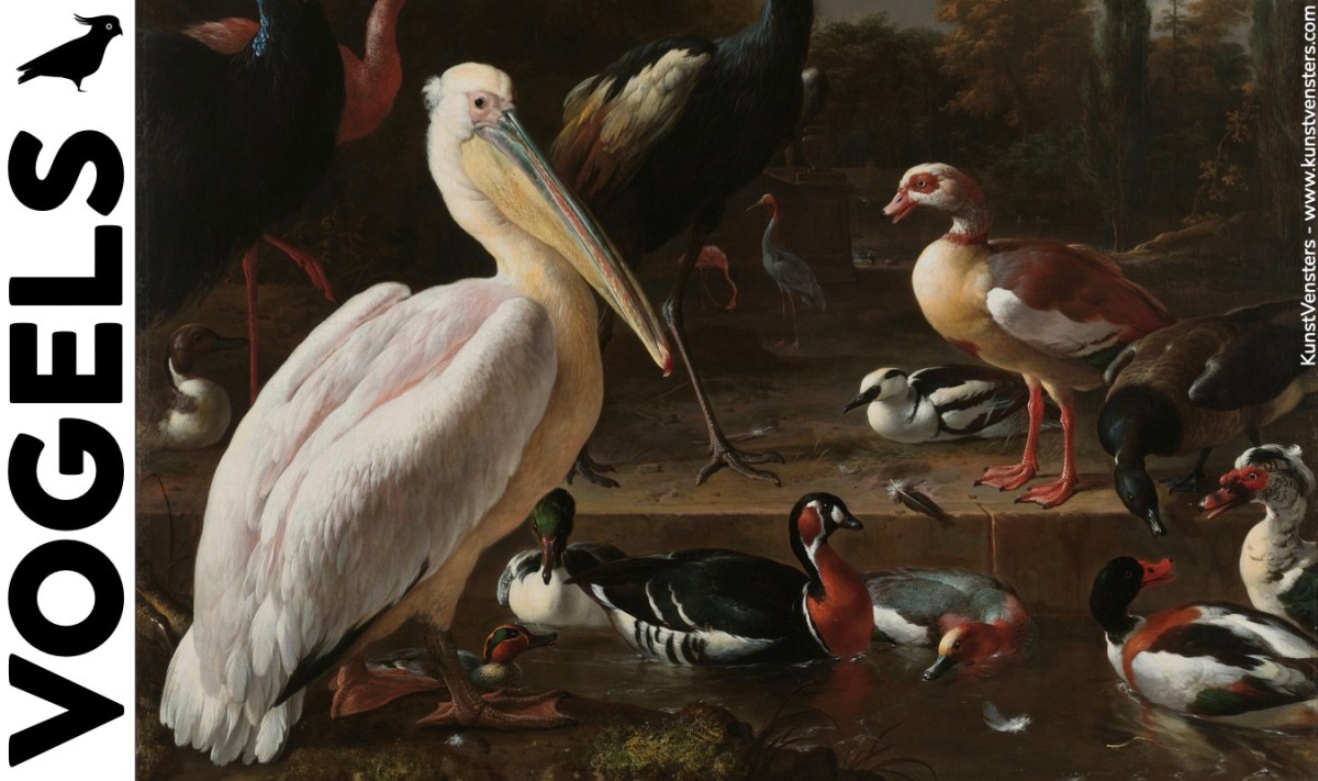 Waar zag Melchior d’Hondecoeter exotische vogels?